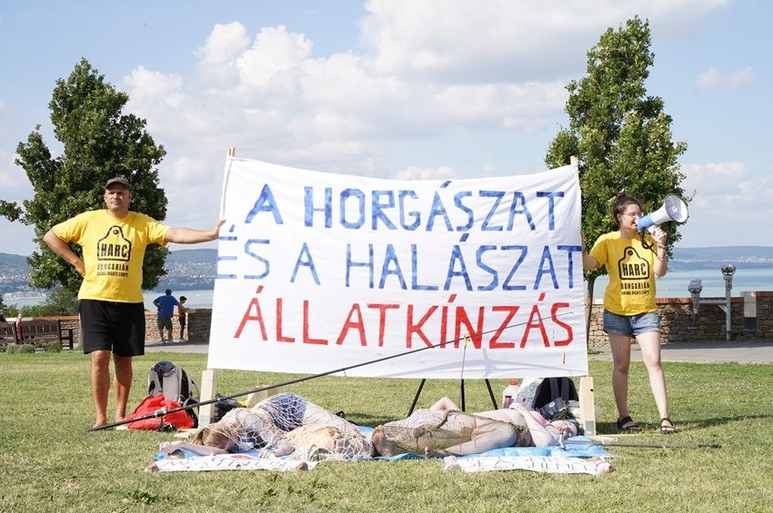 Hálóba csavart emberekkel tiltakoztak a horgászat ellen Tihanyban – fotókkal 