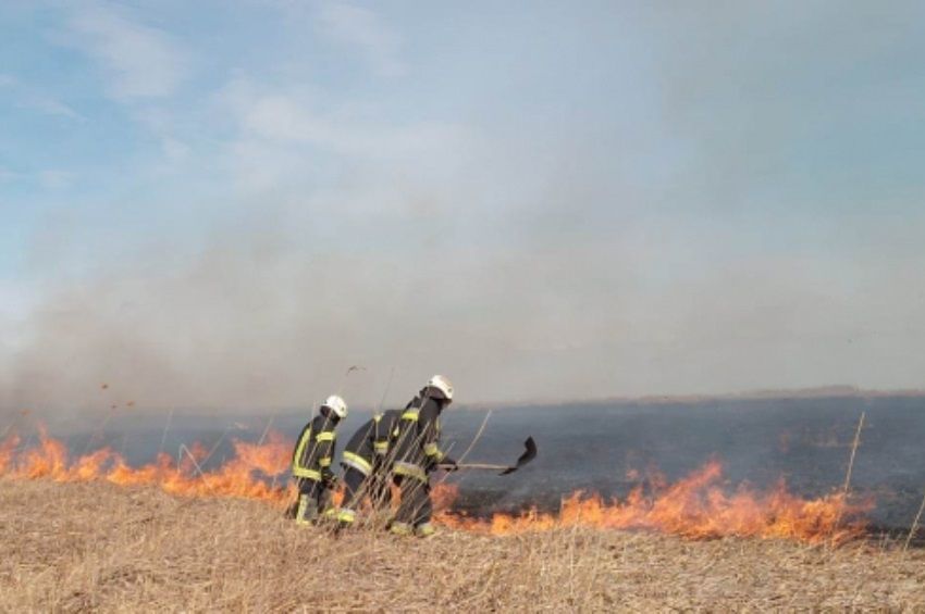 Nagy területen leégett a nádas a Fertő-tó partján
