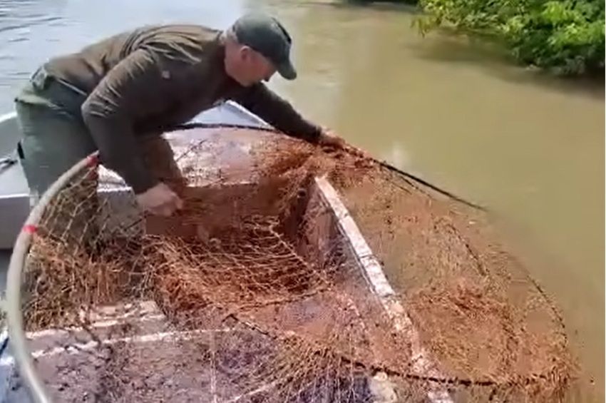 Ádáz küzdelmet vívnak a halőrök a tiszaburai orvhalászokkal – videóval 