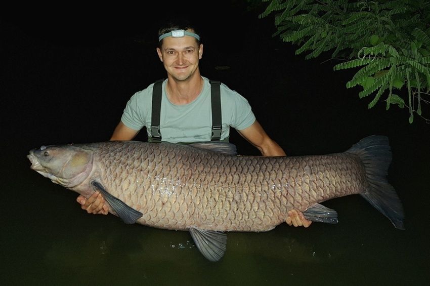 Elismerték hivatalos országos rekordnak a 46,6 kilós fekete amurt