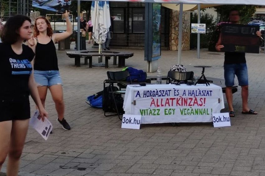 A horgászat ellen tüntettek vegánok a Fonyódi Harcsafesztiválon