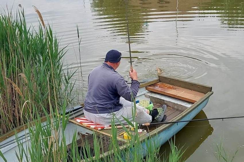 Jó hír a Velencei-tóról: többen is eredményes horgászatról számoltak be – fotókkal