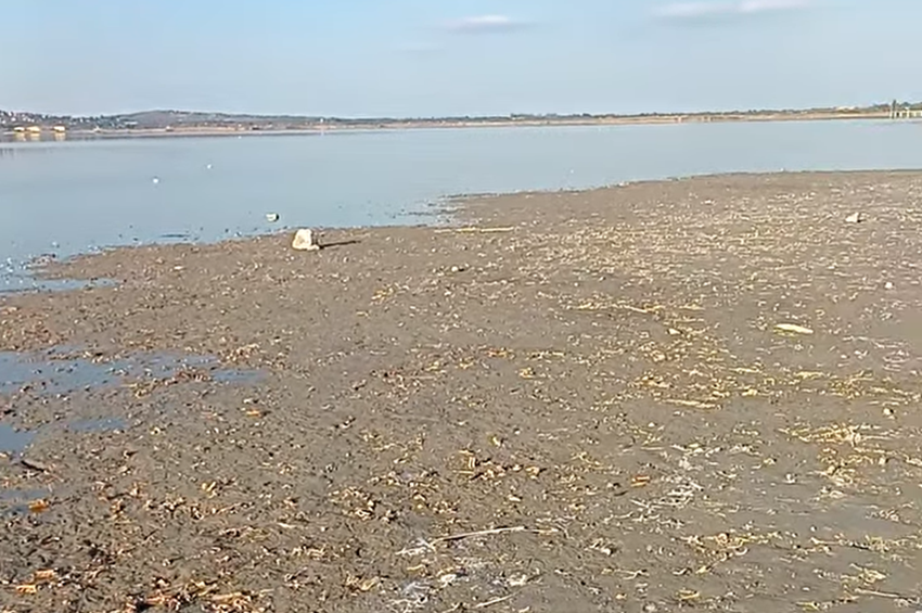 A sivatagosodás felé tart a Velencei-tó, négy centiméterre csökkent a  vízállás – videóval