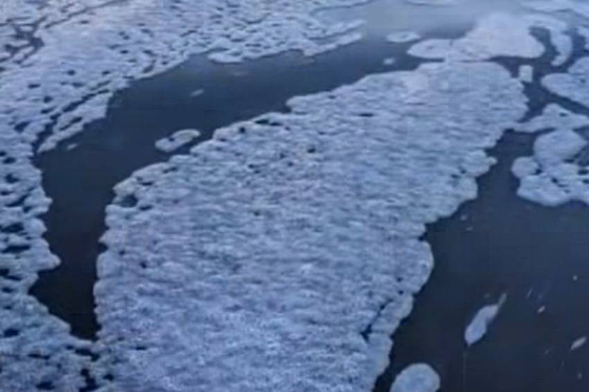 Kiderült, miért habzik a Mosoni-Duna a véneki torkolati műtárgy alatt – videóval 