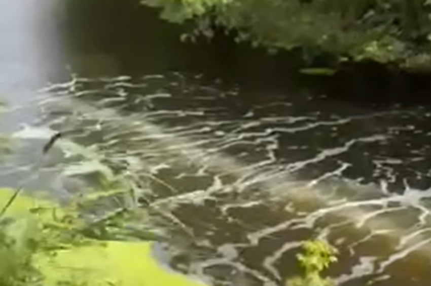 Levegőztetőkkel és merülőfalakkal védik a Zagyva halállományát – videóval